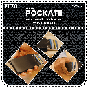 Pockate